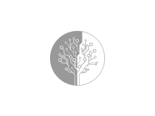 Green World Solutions OU