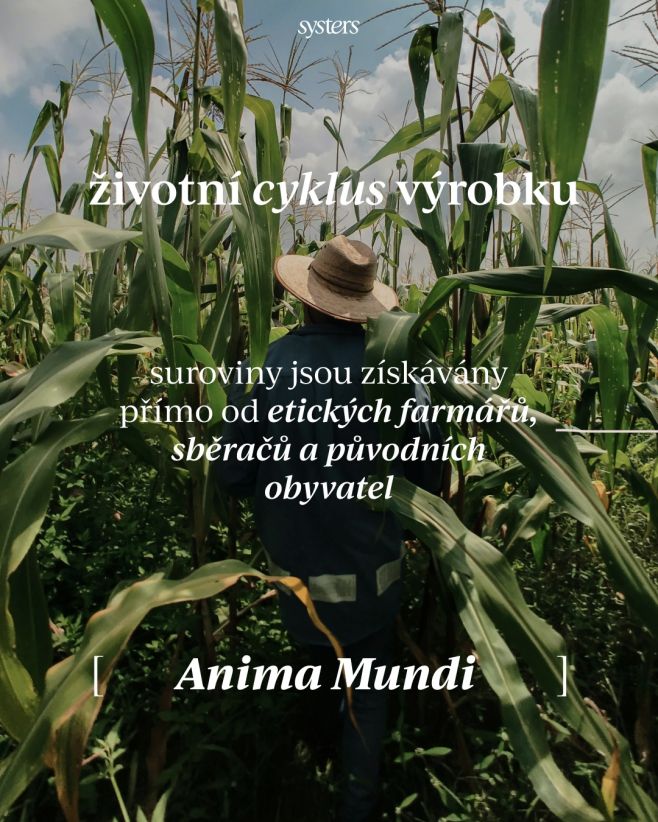 Slyšela jsi někdy o konceptu „od kolébky do hrobu“? Jde o celý životní cyklus produktu od získávání surovin přes výrobu,...