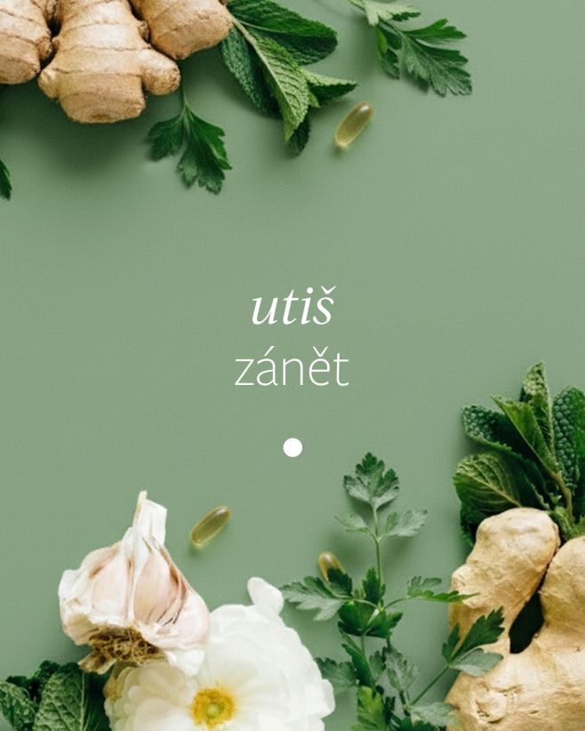 Prožíváš menstruaci v bolestech, schoulená v klubíčku? Na našem e-shopu teď najdeš 15 % slevu na produkty, které podporují...