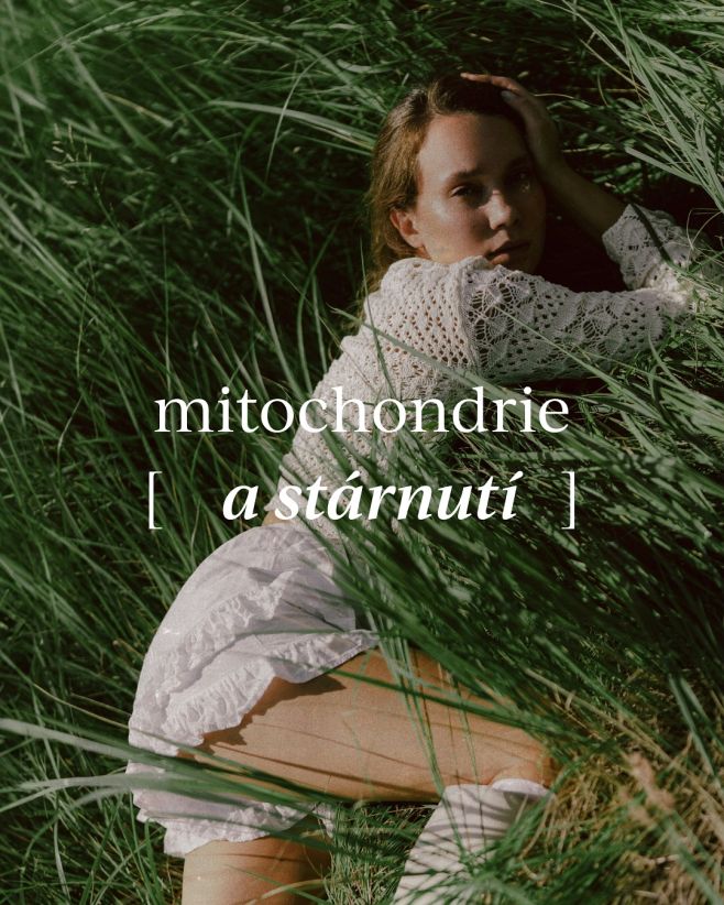 Věděla jsi, že tvoje mitochondrie nejsou jen výrobci energie, ale patří taky mezi hlavní regulátory tvého stárnutí? 🧬 Když...