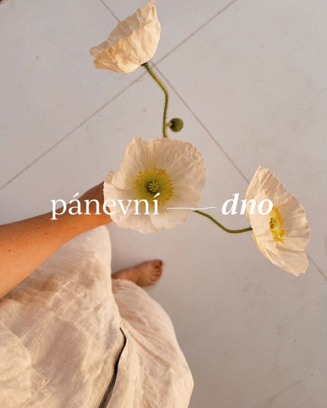 Proč posilování pánevního dna často nefunguje? Protože žijeme ve světě, který nás učí být neustále ve výkonu. Stahujeme...